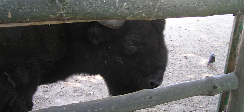 自动发货专业的短信压力测试器免费网页版